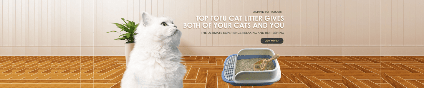 Are You Getting the Most Out of Your Tofu Cat Litter?