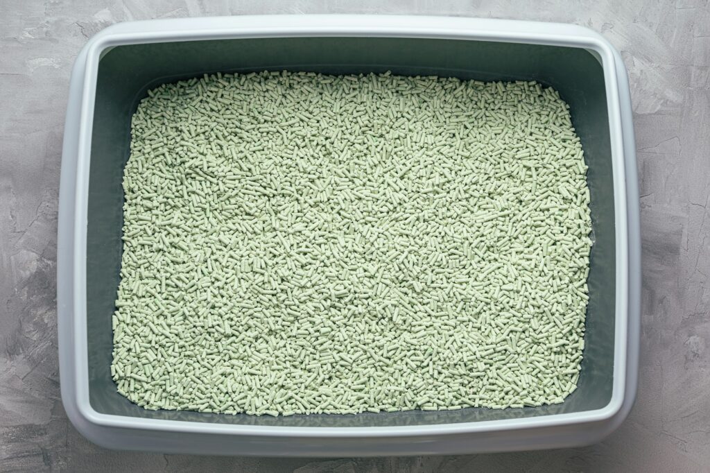 Natural eco-friendly biodegradable green tea tofu cat litter in litterbox. Top view