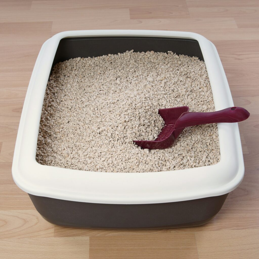 wood based biodegradable kitty litter in a cat toilet